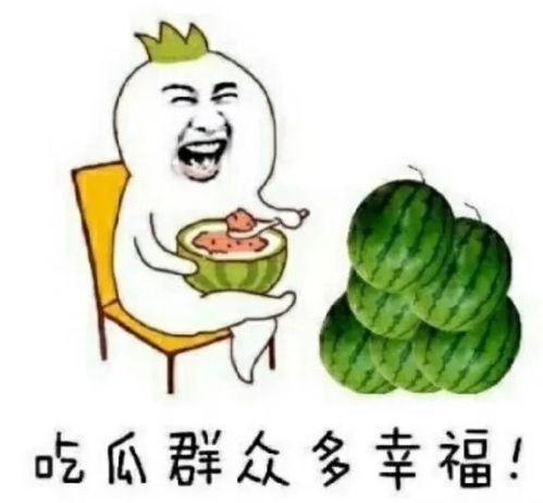娱乐圈的吃瓜